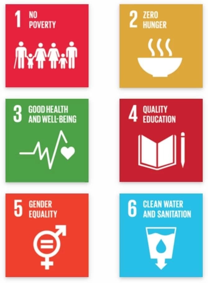 Sustainable Development Goals (SDGs) with Sustainability Certification Program by TreeAndHumanKnot