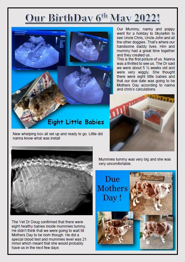 mothers day litter 