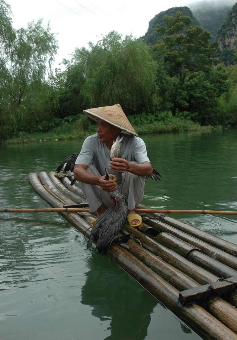cormorant fisherman at the Yulonghe scenic area, near Yangshuo, China