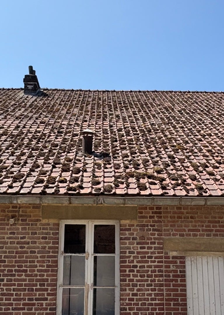 Nettoyage industriel