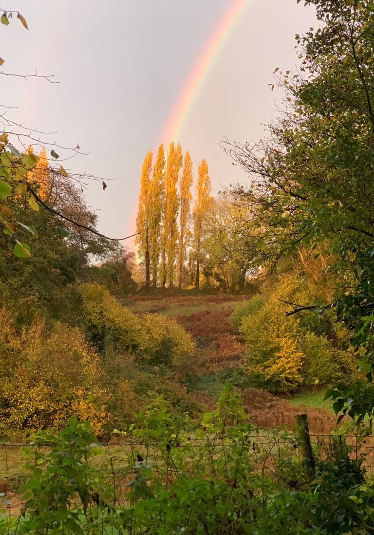 Early Autumn walks around Pool Hill.