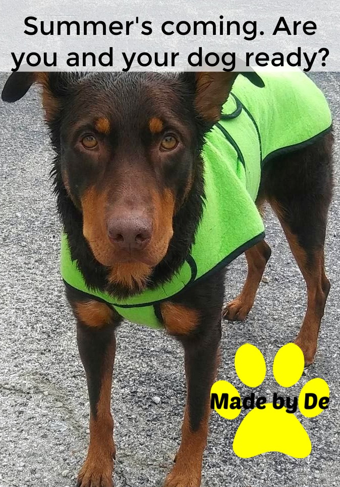 Brown dog wearing a green dog cool coat standing on pavement
