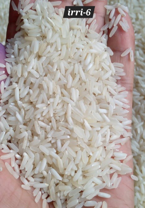 Rice Exporters Of Pakistan