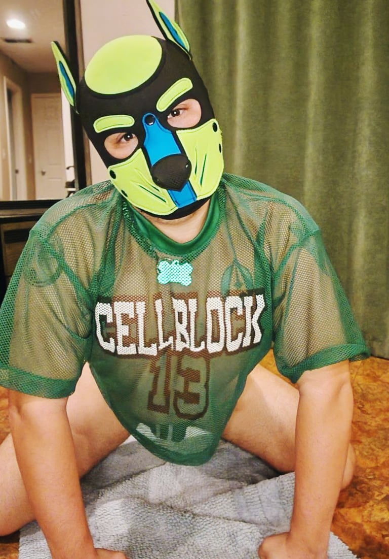 A pup posing on all fours wearing a pup mask.