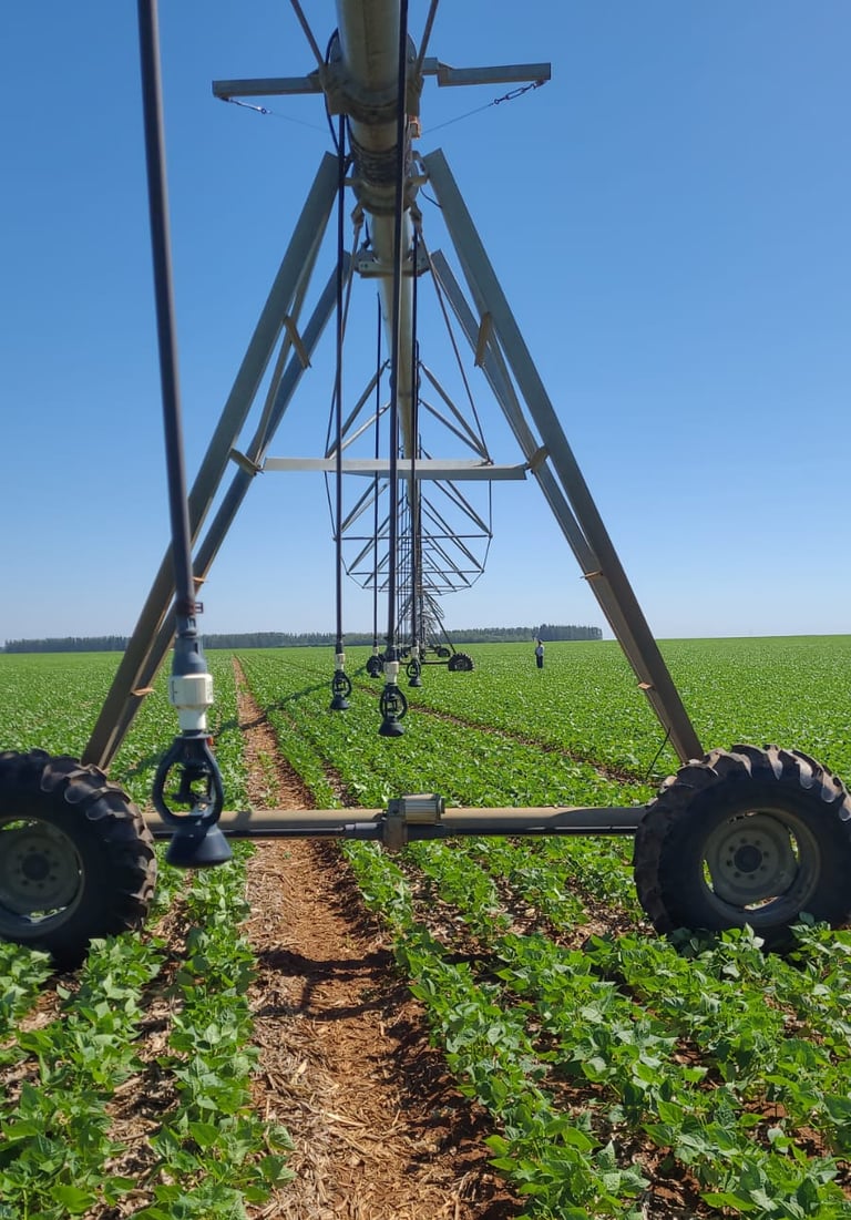 Soluções em automatizações para irrigação.