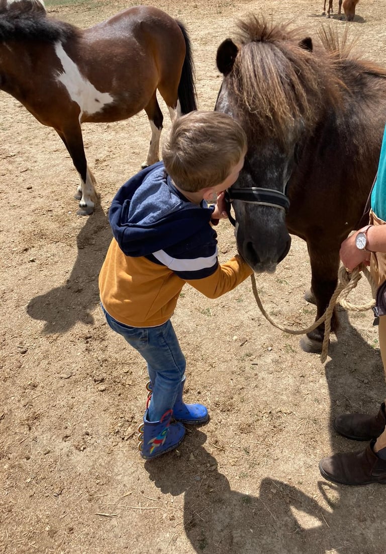 enfant faisant un bisous à son poney lors d'une séance d'équithérapie