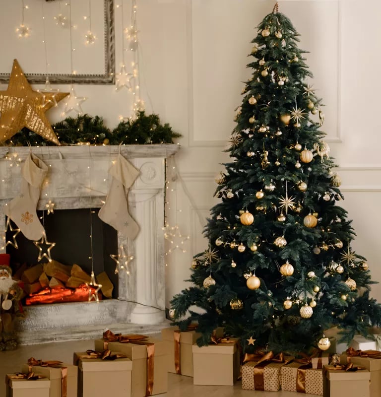 sapin de noel traditionnel