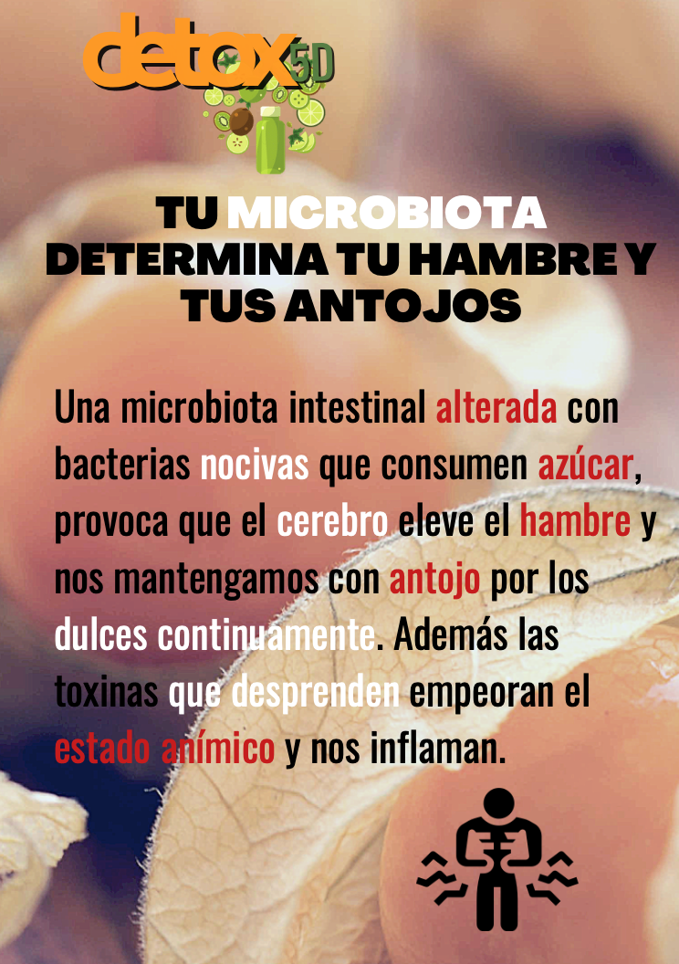 Tu microbiota determina tu hambre y tus antojos