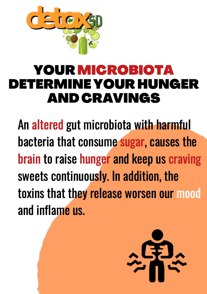 Your microbiota determine your hunger and cravings