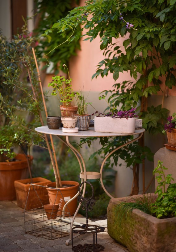 exterieur gite ribeauville zum harzala