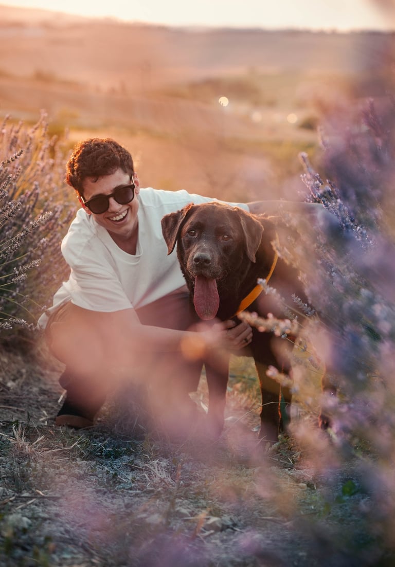 ragazza con labrador nei filari di lavanda