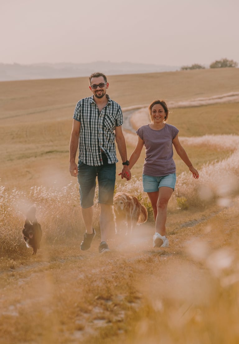 coppia che si tiene per mano con cani che camminano su una strada di grano tagliato