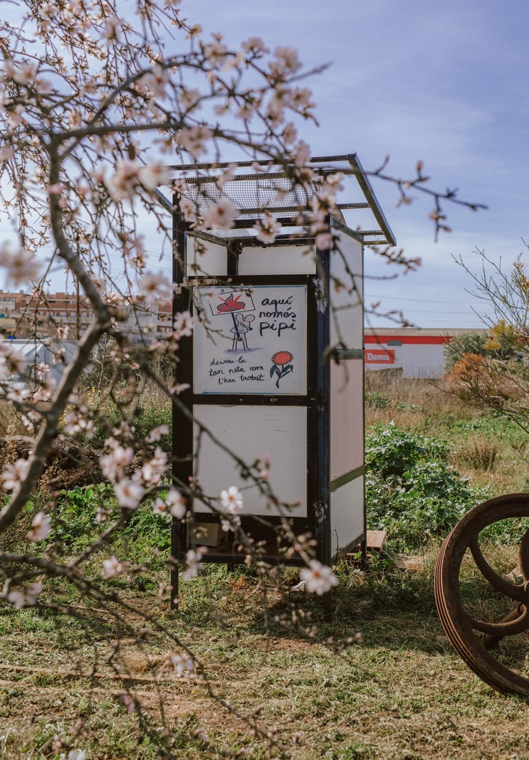 Lavabo ecològic, vàter sec, només per al pipi.
