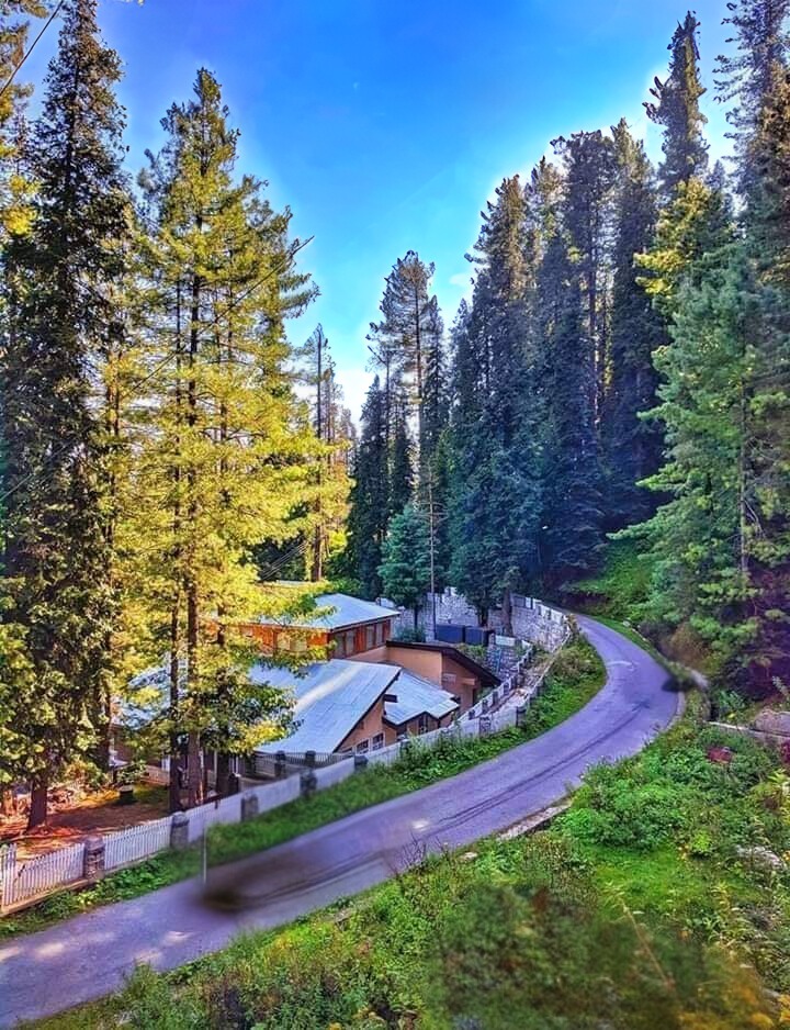 Nathiagali picture showing few rest houses and a road