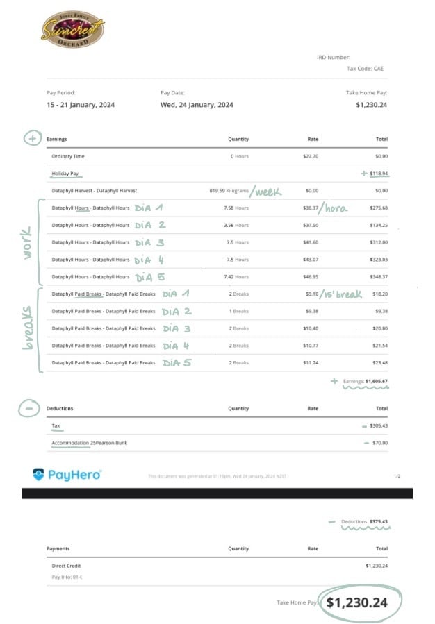 Ejemplo de payslip semanal en las cherries