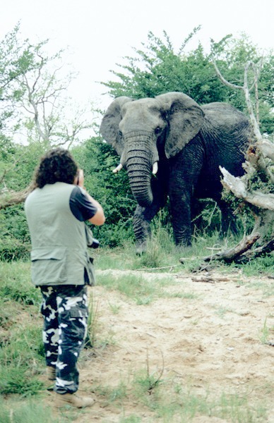 Paul Apps facing a large bull Elephant in Swaziland South Africa