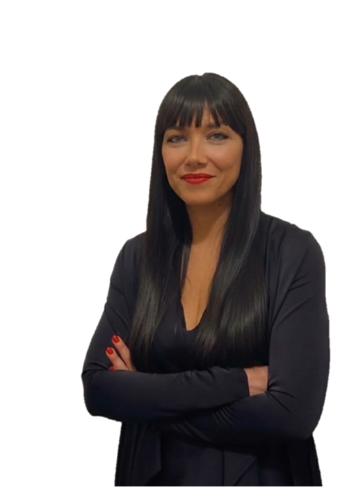 <link rel="icon" href="/path/to/favicon.ico">