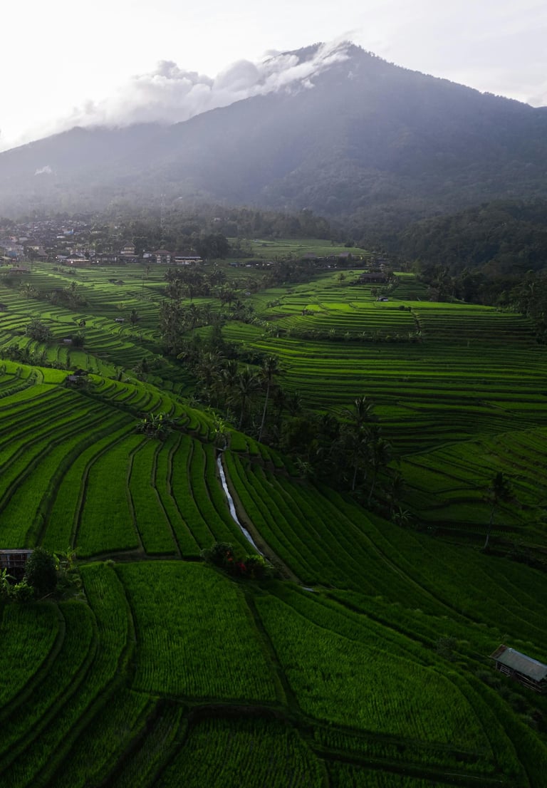 Photo of Jatiluwih Rice Terrace Bali Indonesia