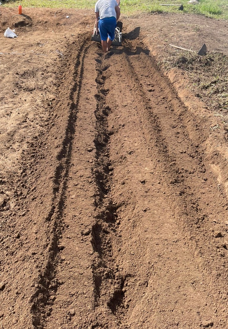 Imagem ilustrativa de um de nossos Serviços