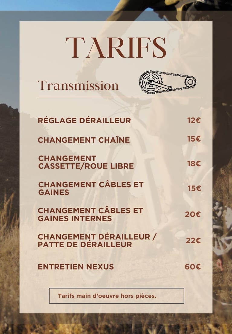 Réglage dérailleur, changement chaine, entretien nexus, a domicile Angers