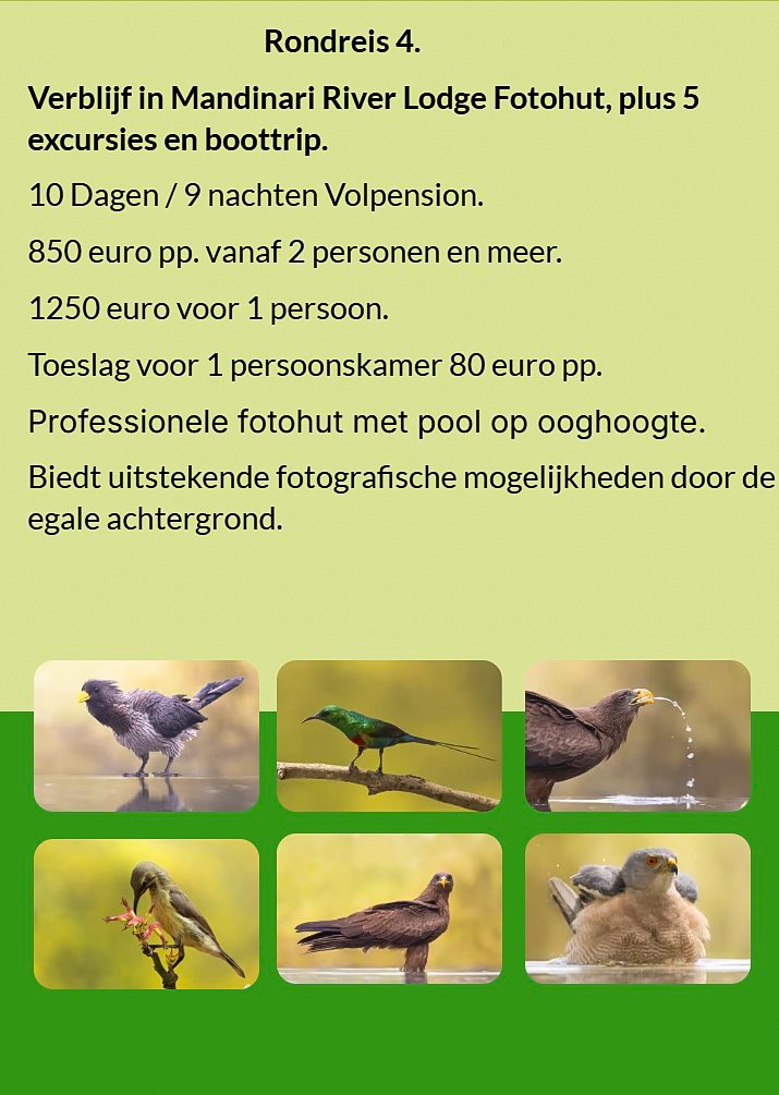 Flyer Rondreis 3 – 8-daagse vogelfotografie tour in Gambia. Volpension. Prijs vanaf €850 p.p. Inclus