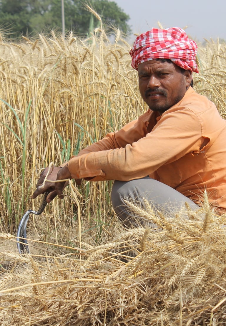 Farmer in India