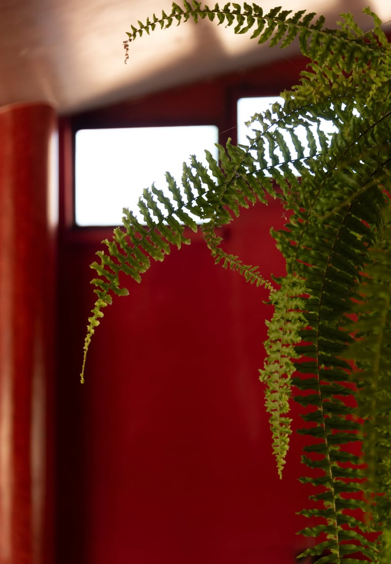 Interno della living room dell’hotel con felci