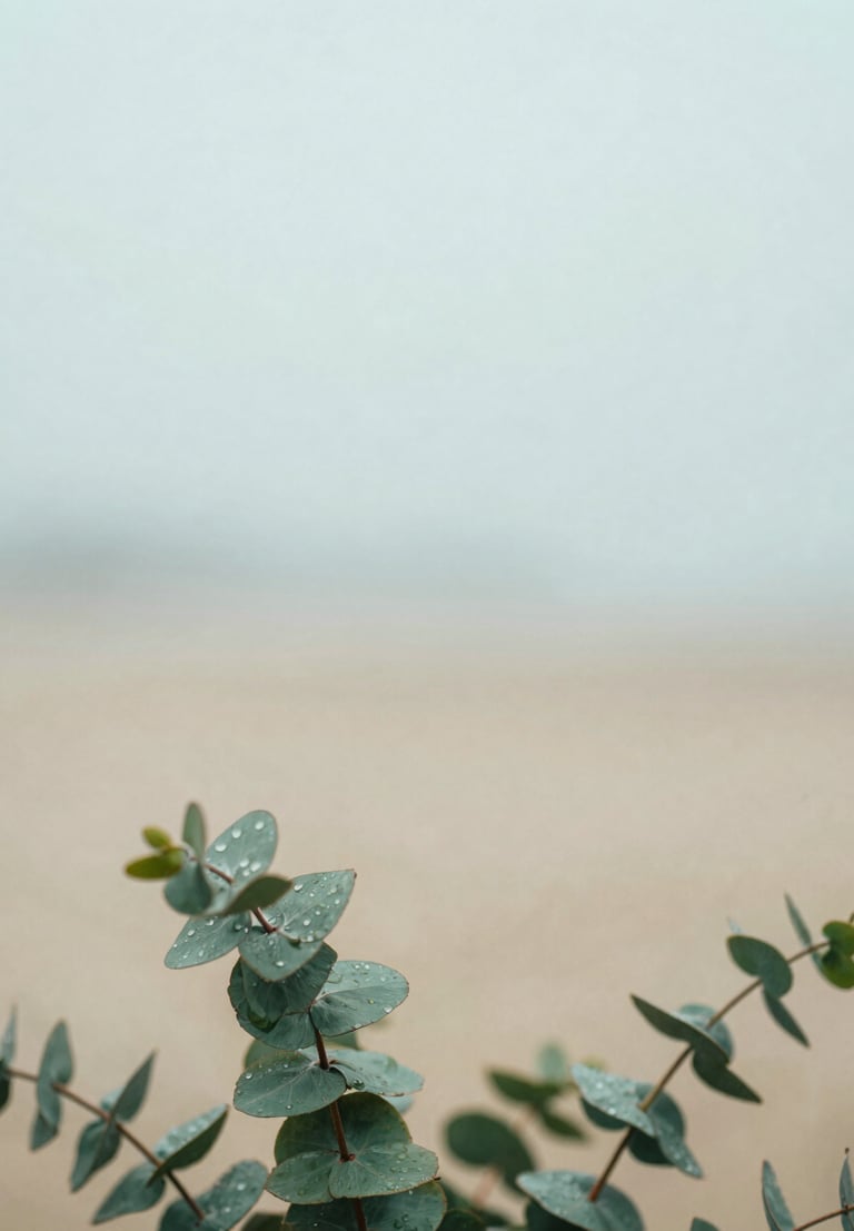 A close-up of green eucalyptus leaves with soft water droplets, diffused overcast daylight, minimalist calming composition, 35mm