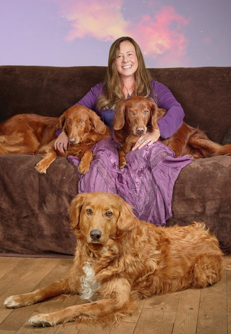 Smiling woman in purple sitting on a brown sofa with three golden Irish Setter dogs.