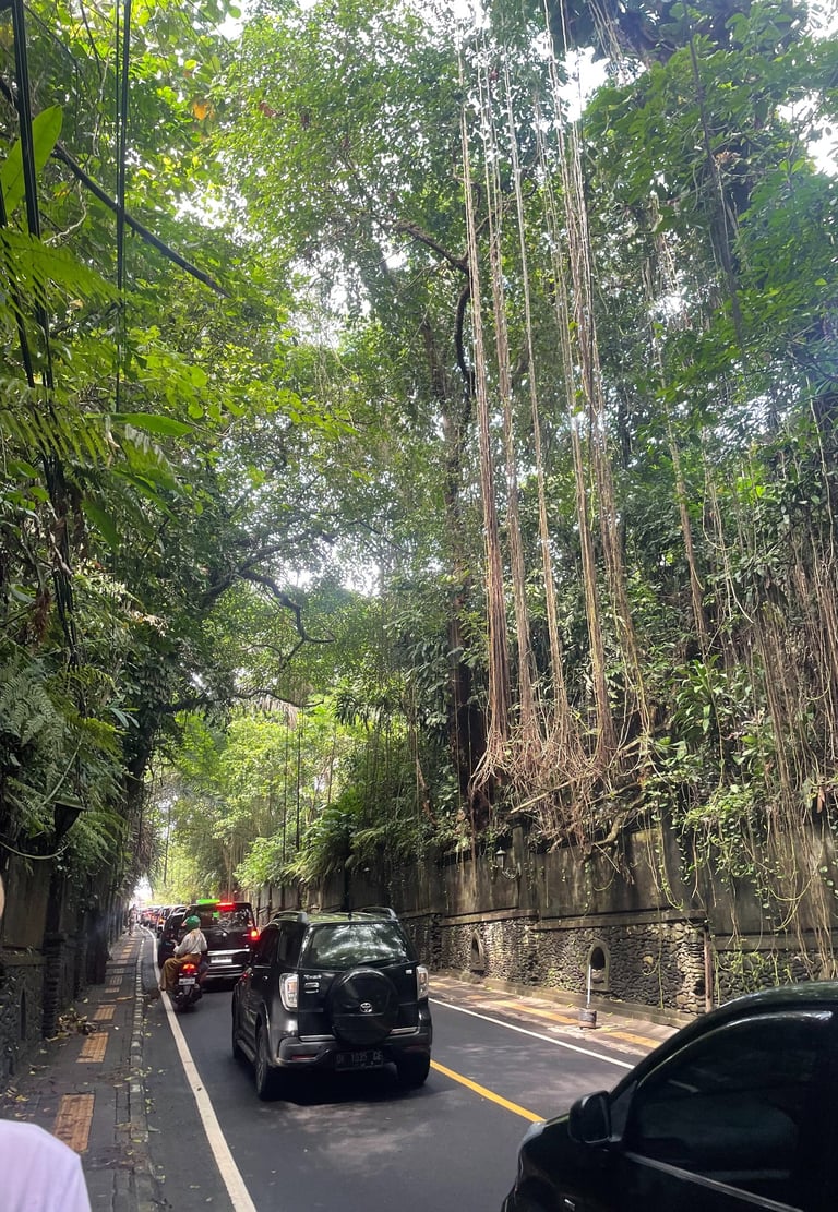 Ubud Bali