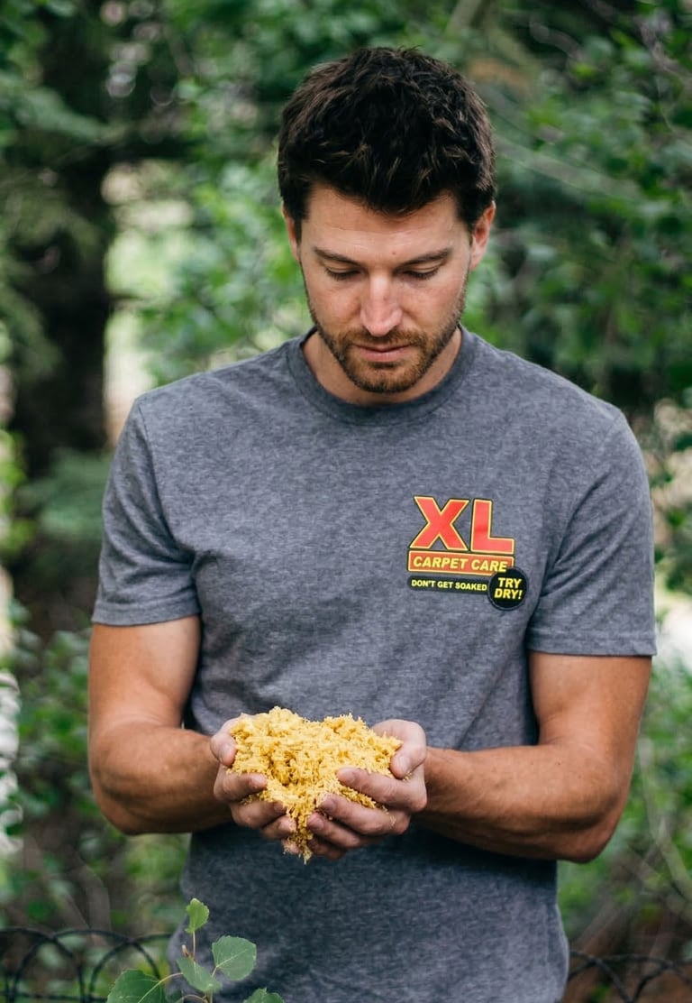 A XL Carpet Care technician holding a handful of porous Host dry-cleaning sponges in Evergreen, Colorado.