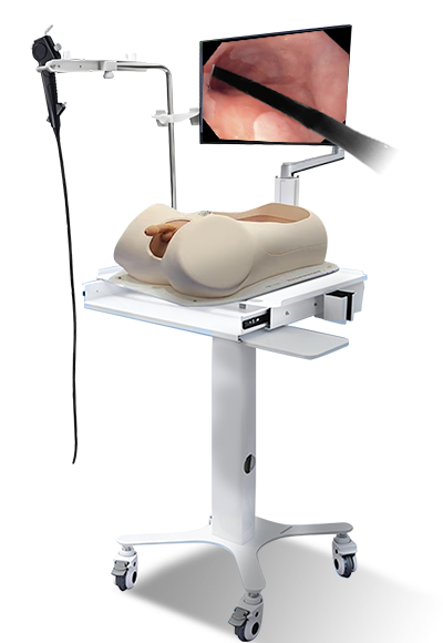 Endoscopic Operation Training