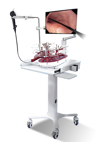 Suzhou Frank Bronchoscopy Simulator