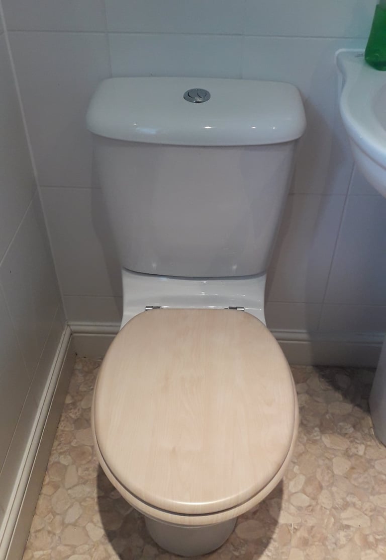 leaking toilet in High Bickington