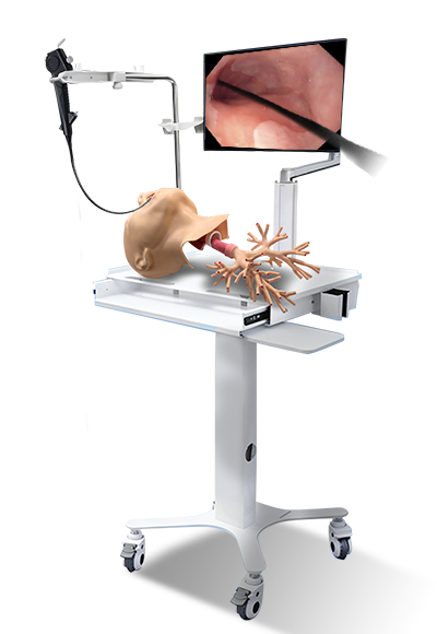 Suzhou Frank Bronchoscopy Simulator