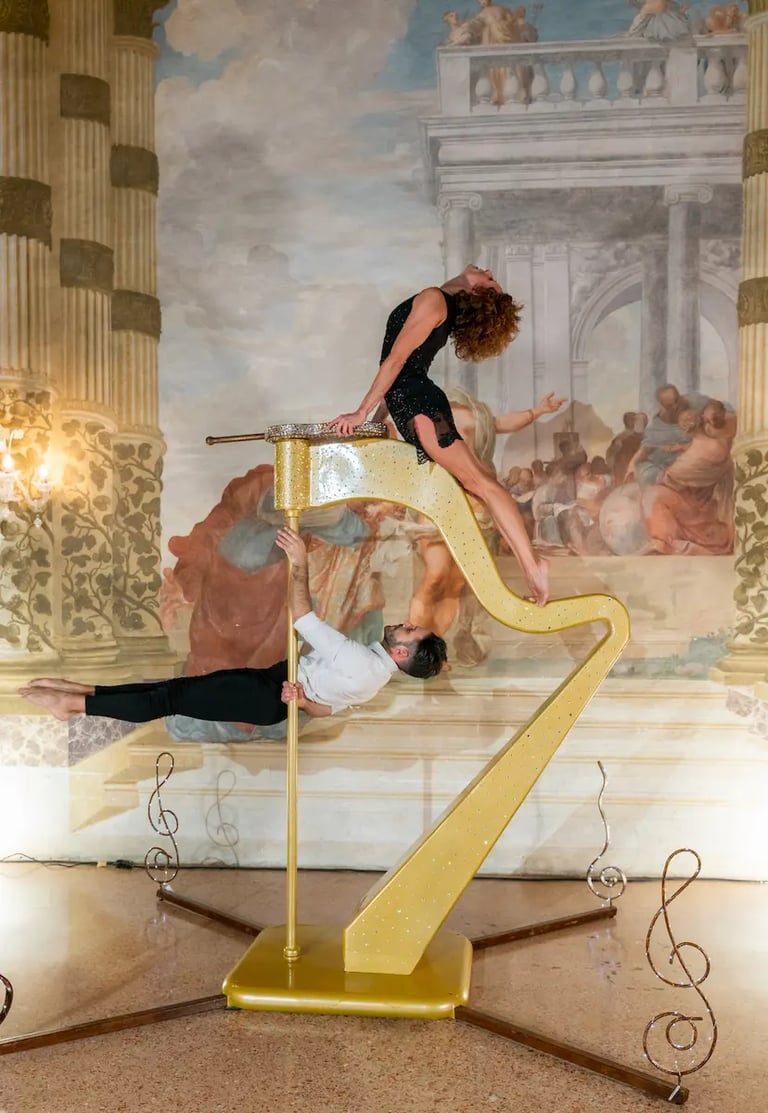 spettacolo eventi e matrimoni eleganti