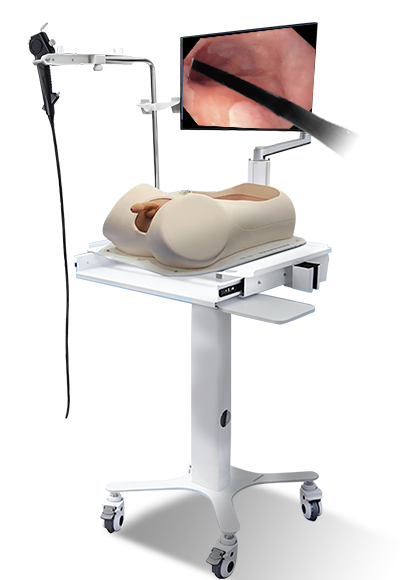 Endoscopic Operation Training