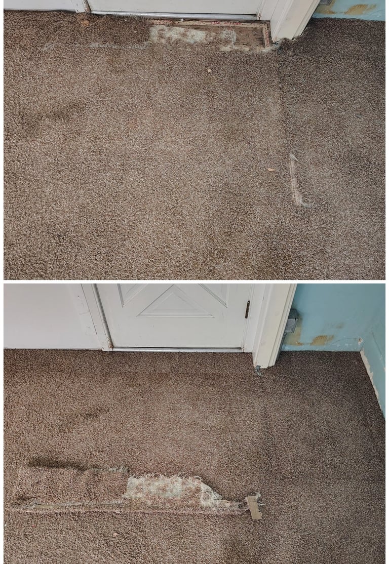 Large dog damaged this carpet in Provo, UT. We repaired it to save the carpet from being replaced.