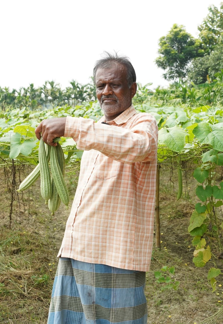 Sustainable farming