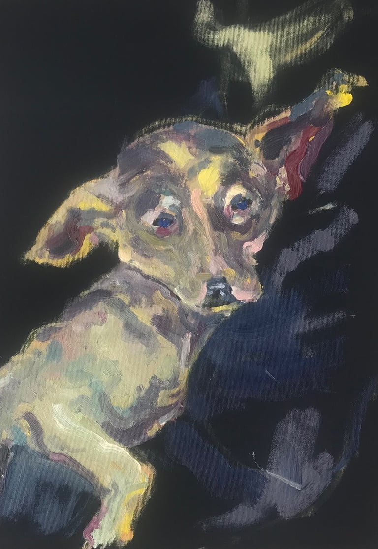 Dog in a shelter by Lina Mikuzyte