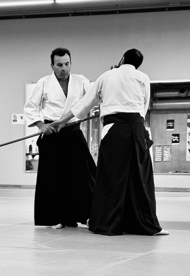 baisieux arts martiaux aïkido pratique du jo