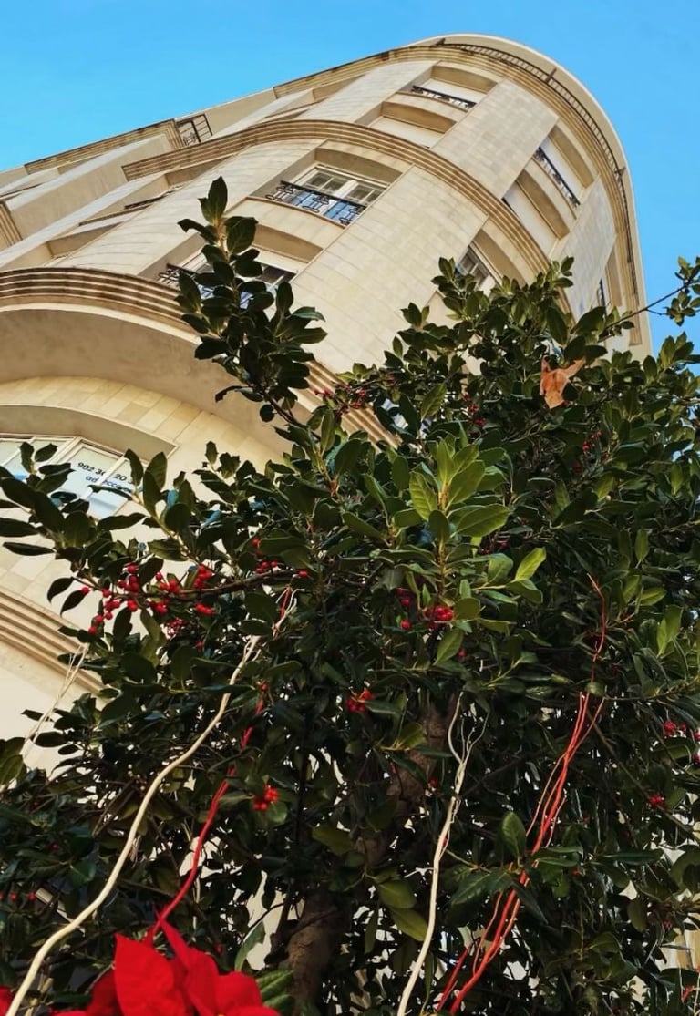 Jaen centro l Asociación de vecinos Calle Navas de Tolosa Jaen centro