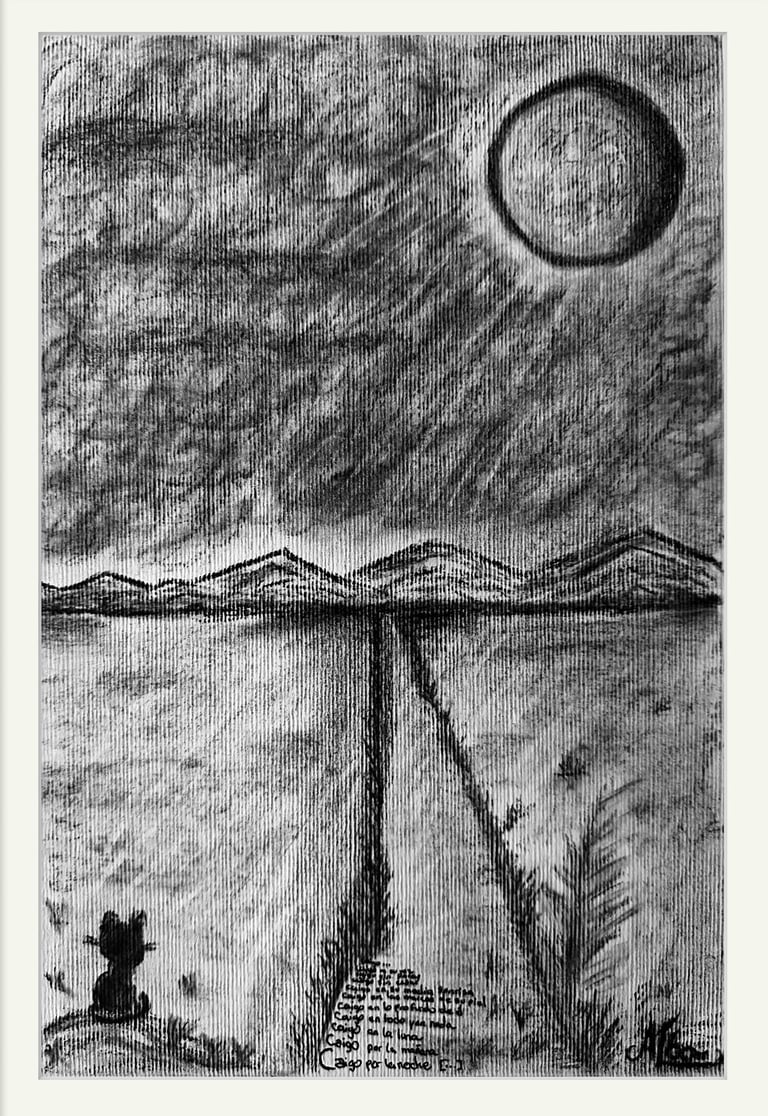 drawing of a cat watching the moon