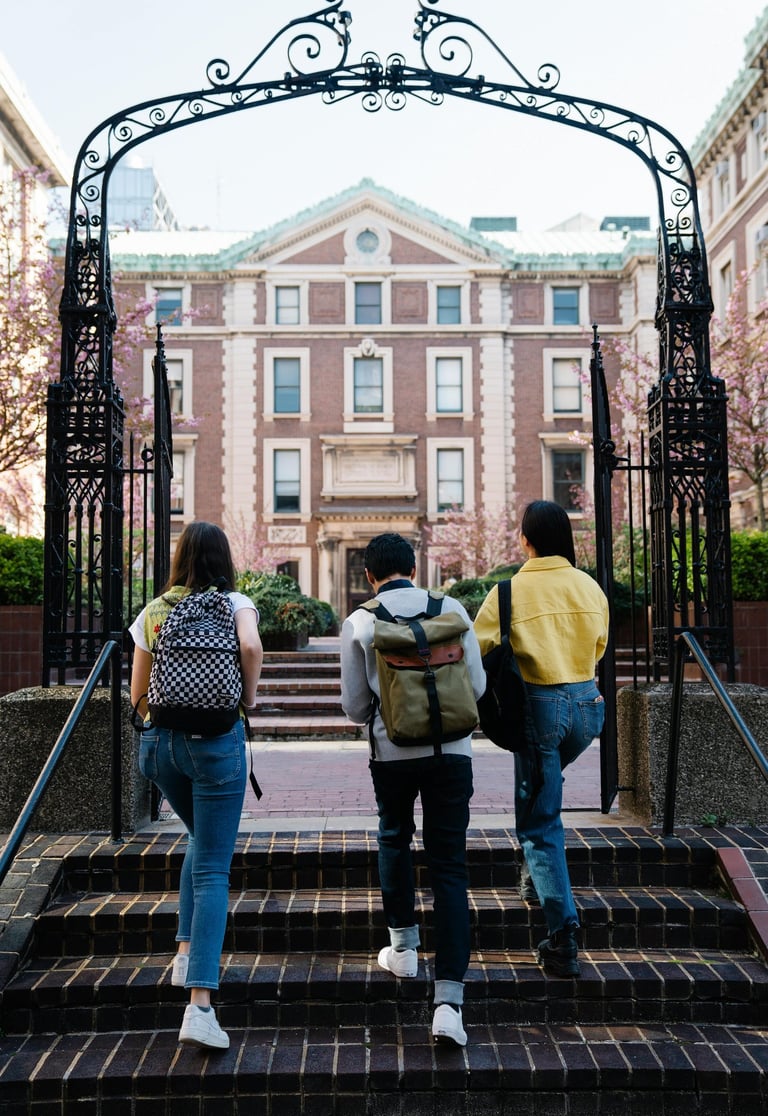 guardianship, school, university, high school, college, immigration, graduation, family