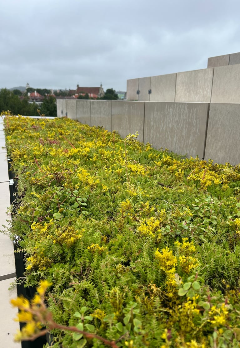 stogu-apzeldinimas-zali-stogai