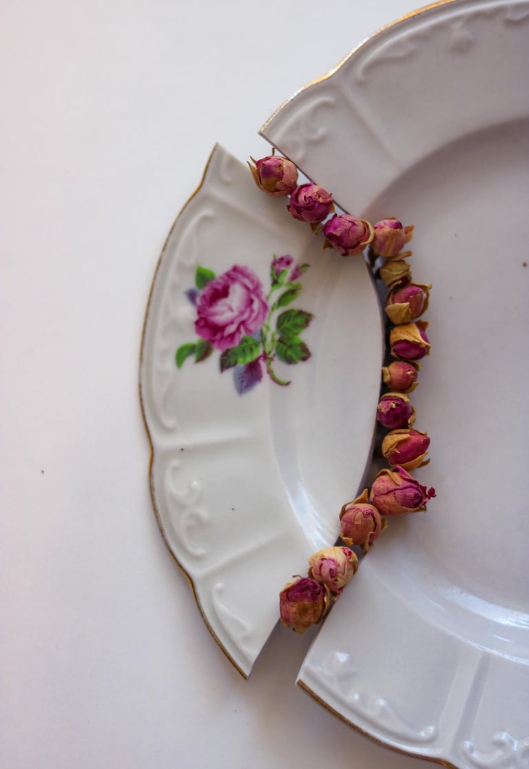 Divided ceramic plate as trauma