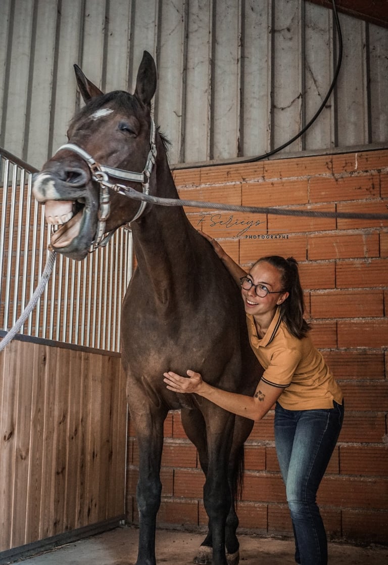 massage cheval bien-être
