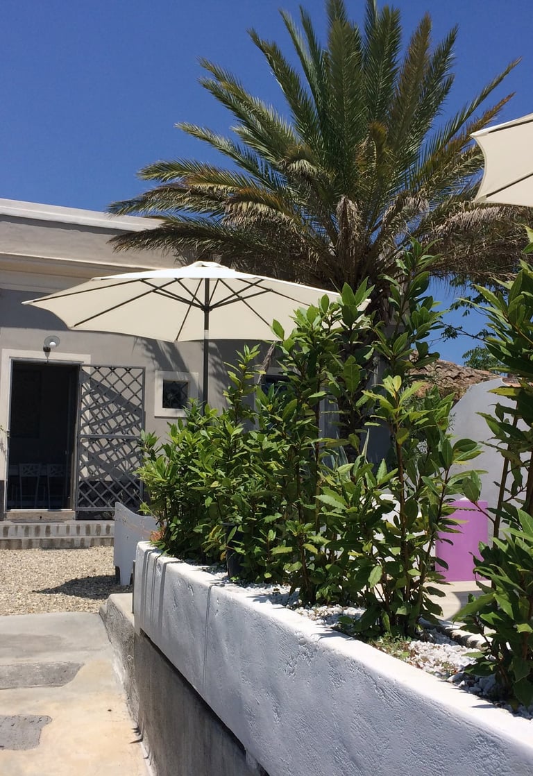 itahome Luxury patio with palm tree, white sun umbrellas, and green plants outside a modern villa.