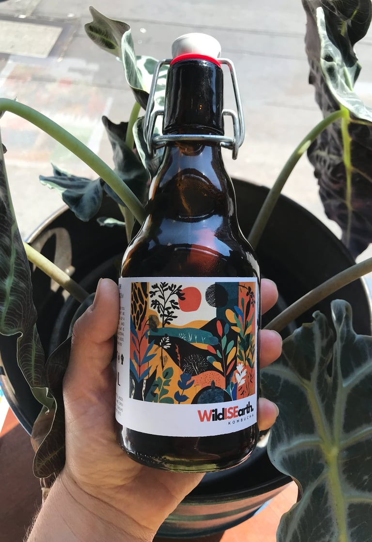 Wild Is Earth Kombucha