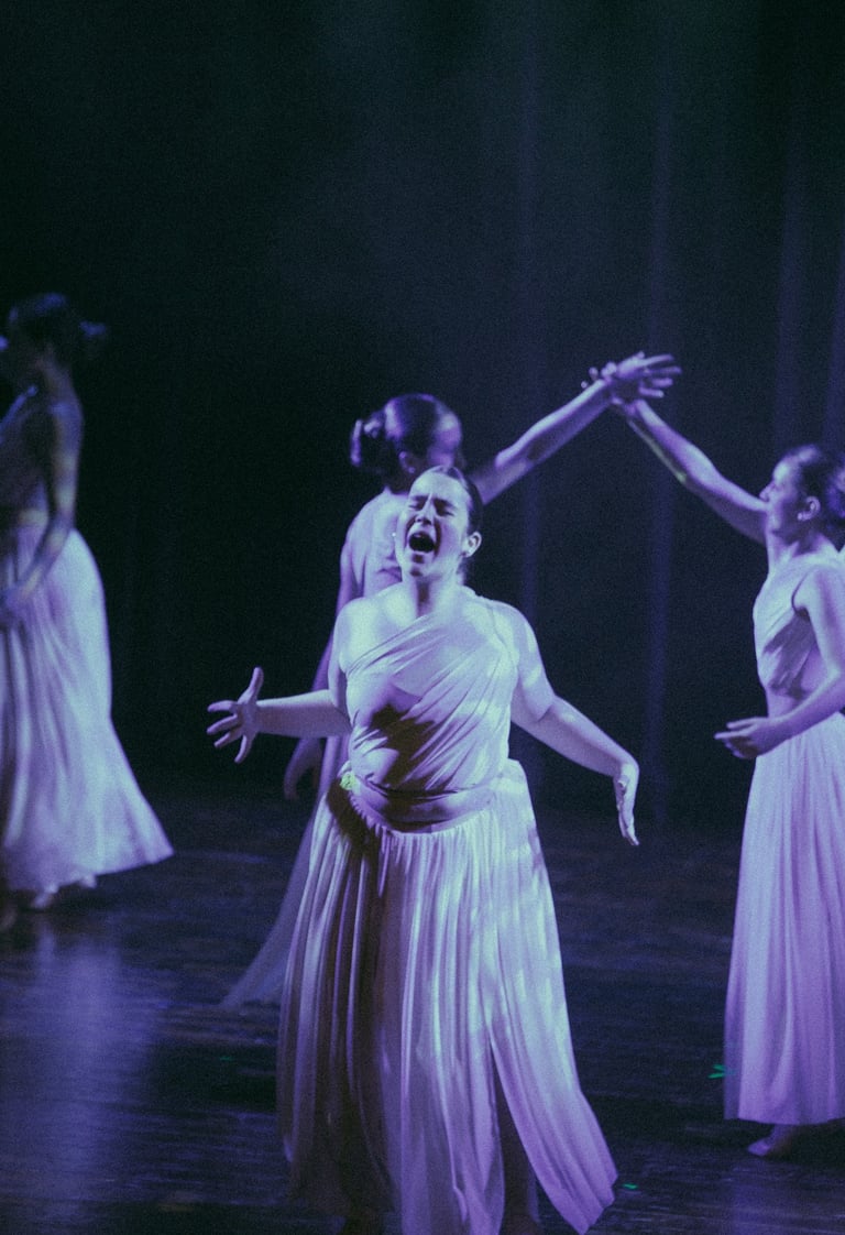 Festival de danza Ripollet